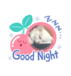 あいさつねこきち②（個別スタンプ：12）