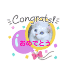 あいさつねこきち②（個別スタンプ：14）