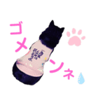 黒柴ゆめちゃん（個別スタンプ：8）