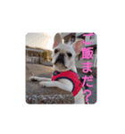 よもぎシリーズ①（個別スタンプ：4）