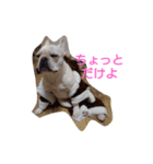 よもぎシリーズ①（個別スタンプ：7）