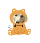 保護犬達のスタンプいろいろ（個別スタンプ：10）