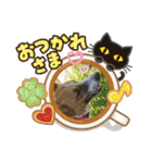 保護犬達のスタンプいろいろ（個別スタンプ：11）