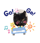 にゃーた四（個別スタンプ：1）