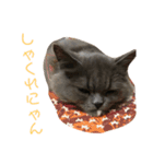 ちーとまるの生活（個別スタンプ：3）