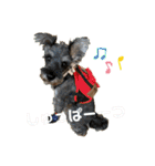 うちのいっぬたち（個別スタンプ：10）