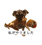 うちのいっぬたち（個別スタンプ：17）