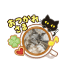 ニャンの気分（個別スタンプ：3）