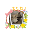 ニャンの気分（個別スタンプ：4）