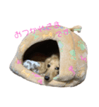 チーズandレオ（個別スタンプ：10）