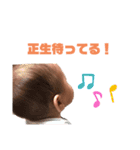 ちょちょたん（個別スタンプ：1）