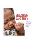 ちょちょたん（個別スタンプ：8）