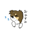 ココとアン（個別スタンプ：4）