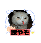 かわいい動物のスタンプぅ（個別スタンプ：2）
