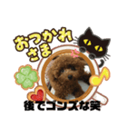 かわいい動物のスタンプぅ（個別スタンプ：4）