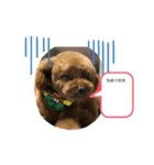 かわいい動物のスタンプぅ（個別スタンプ：6）