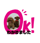 かわいい動物のスタンプぅ（個別スタンプ：7）