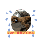 かわいい動物のスタンプぅ（個別スタンプ：8）