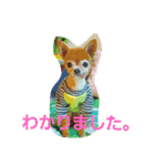 ちわわのかぞく（個別スタンプ：16）