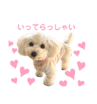 毎日みるくちゃん（個別スタンプ：1）