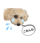 毎日みるくちゃん（個別スタンプ：5）