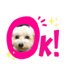 毎日みるくちゃん（個別スタンプ：6）