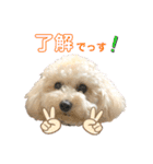 毎日みるくちゃん（個別スタンプ：7）