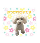 毎日みるくちゃん（個別スタンプ：9）