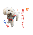 毎日みるくちゃん（個別スタンプ：11）