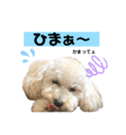 毎日みるくちゃん（個別スタンプ：12）