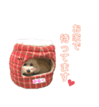 毎日みるくちゃん（個別スタンプ：13）