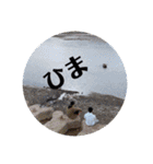 陸上部の愉快な仲間たち（個別スタンプ：6）
