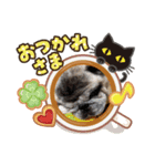 犬 パグ（個別スタンプ：8）