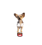 個人用愛犬スタンプ（個別スタンプ：6）