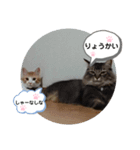 ゆずぽんず。（個別スタンプ：1）
