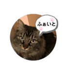 ゆずぽんず。（個別スタンプ：2）