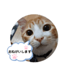 ゆずぽんず。（個別スタンプ：5）