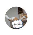 ゆずぽんず。（個別スタンプ：7）