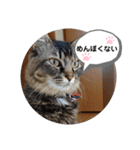 ゆずぽんず。（個別スタンプ：8）