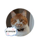 ゆずぽんず。（個別スタンプ：9）