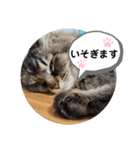 ゆずぽんず。（個別スタンプ：10）