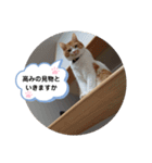 ゆずぽんず。（個別スタンプ：11）