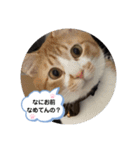 ゆずぽんず。（個別スタンプ：13）