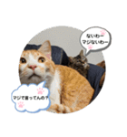 ゆずぽんず。（個別スタンプ：14）