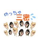 チワワの日常会話(カピ＆プリン)②（個別スタンプ：2）