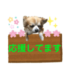 チワワの日常会話(カピ＆プリン)②（個別スタンプ：4）