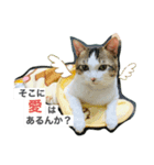 パパへ送るLINE（個別スタンプ：3）