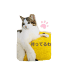 パパへ送るLINE（個別スタンプ：7）