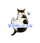 パパへ送るLINE（個別スタンプ：8）