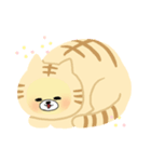 もるきつね丸-その1（個別スタンプ：3）